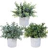Winlyn 3 Pcs Artificial Eucalyptus Boxwood Plants in Grey Textured Cylinder Concrete Planter Pots Small Potted Plants Faux Greenery Decorations for Modern Farmhouse Home Office Bookshelf Tabletop