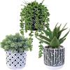 Winlyn 3 Pcs Small Potted Succulents Plants Artificial Aloe Hops String of Pearls Succulents in Black and White Concrete Pots for Gifts Table Centerpiece Shelves Windowsill Indoor Outdoor Decorations