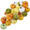 Winlyn 30 Pcs Assorted Rustic Harvest Artificial Pumpkins Gourds Squashes Decorative Fall Pumpkins Fake Foam Pumpkins Autumn Party Thanksgiving Halloween Table Centerpiece Wreath Mantle Bowl Filler