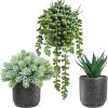 Winlyn 3-Pack Artificial Potted Succulent Plants – Aloe, Hops, String of Pearls – Realistic Faux Plants in Black Cement Pots – Modern/Contemporary Style – Ideal for Home Office Bathroom Indoor Decor(Black)