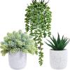 Winlyn 3-Pack Artificial Potted Succulent Plants – Aloe, Hops, String of Pearls – Realistic Faux Plants in Black Cement Pots – Modern/Contemporary Style – Ideal for Home Office Bathroom Indoor Decor(White)