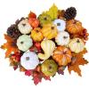 Winlyn 46 Pcs Assorted Small Artificial Pumpkins and Gourds with Acorns Pinecones Maple Leaves Fall Harvest Decor Set for Autumn Party Table Centerpiece Thanksgiving Halloween Wreaths Vase Bowl Filler