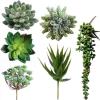 Winlyn 6 Pcs Unpotted Fake Succulents Assorted Faux Succulent in Different Green Artificial Hanging Succulents Textured Faux Succulent Pick Hanging String of Pearls Plant for Wedding Centerpieces