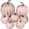 Winlyn 7 Pcs Assorted Sizes Fall Artificial Peach Pink Pumpkins Harvest Faux Foam Light Pink Pumpkins for Fall Autumn Season Halloween Thanksgiving Harvest Festive Tabletop Decoration(Gold Brush Pink)