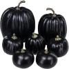 Winlyn 7 Pcs Assorted Sizes Fall Artificial Peach Pink Pumpkins Harvest Faux Foam Light Pink Pumpkins for Fall Autumn Season Halloween Thanksgiving Harvest Festive Tabletop Decoration(Black)