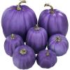 Winlyn 7 Pcs Assorted Sizes Fall Artificial Peach Pink Pumpkins Harvest Faux Foam Light Pink Pumpkins for Fall Autumn Season Halloween Thanksgiving Harvest Festive Tabletop Decoration(Purple)