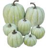 Winlyn 7 Pcs Assorted Sizes Fall Artificial Peach Pink Pumpkins Harvest Faux Foam Light Pink Pumpkins for Fall Autumn Season Halloween Thanksgiving Harvest Festive Tabletop Decoration(Mixed Green)