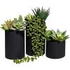 Winlyn Set of 3 Artificial Plants Decor Greenery Fake Succulents Indoor Potted Fake Plant with Black Planter for Farmhouse Room Bathroom Bedroom Kitchen Office Table Desk Decor(Assorted Sizes Black Pots)