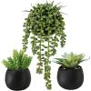 Winlyn Set of 3 Artificial Plants Decor Greenery Fake Succulents Indoor Potted Fake Plant with Black Planter for Farmhouse Room Bathroom Bedroom Kitchen Office Table Desk Decor(Black Pots)
