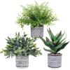 Winlyn Set of 3 Assorted Small Potted Plants Faux Eucalyptus Boxwood Plants Aloe Succulent Plant in Black and White Geometric Pots for Table Centerpiece Windowsill Shelf Indoor Outdoor Greenery Decor