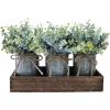 Winlyn Set of 3 Small Artificial Eucalyptus Plants Arrangement Centerpiece Faux Eucalyptus Greenery in Rustic Galvanized Metal Pots with Rectangle Wood Box for Farmhouse Home Table Shelf Décor