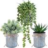 Winlyn Set of 3 Small Artificial Succulent Potted Plants Faux Aloe Hops Hanging Succulent in Rustic Galvanized Metal Pots Fake Plant Decor for Farmhouse Home Office Wedding Windowsill Table Shelf(Galvanized Metal Pot)