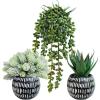 Winlyn Set of 3 Small Artificial Succulent Potted Plants Faux Aloe Hops Hanging Succulent in Rustic Galvanized Metal Pots Fake Plant Decor for Farmhouse Home Office Wedding Windowsill Table Shelf(Black Pot)