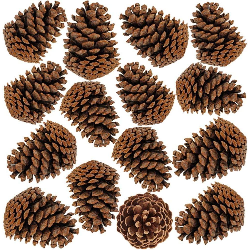 imageBESTTOYHOME 15 PCS Natural Pinecones Medium Pine Cones Ornaments Real Preserved Pine Cones  Dried 3quot  4quot Tall for Guest Seating Place Card Holders or Wedding Guest Favors Christmas Winter Xmas