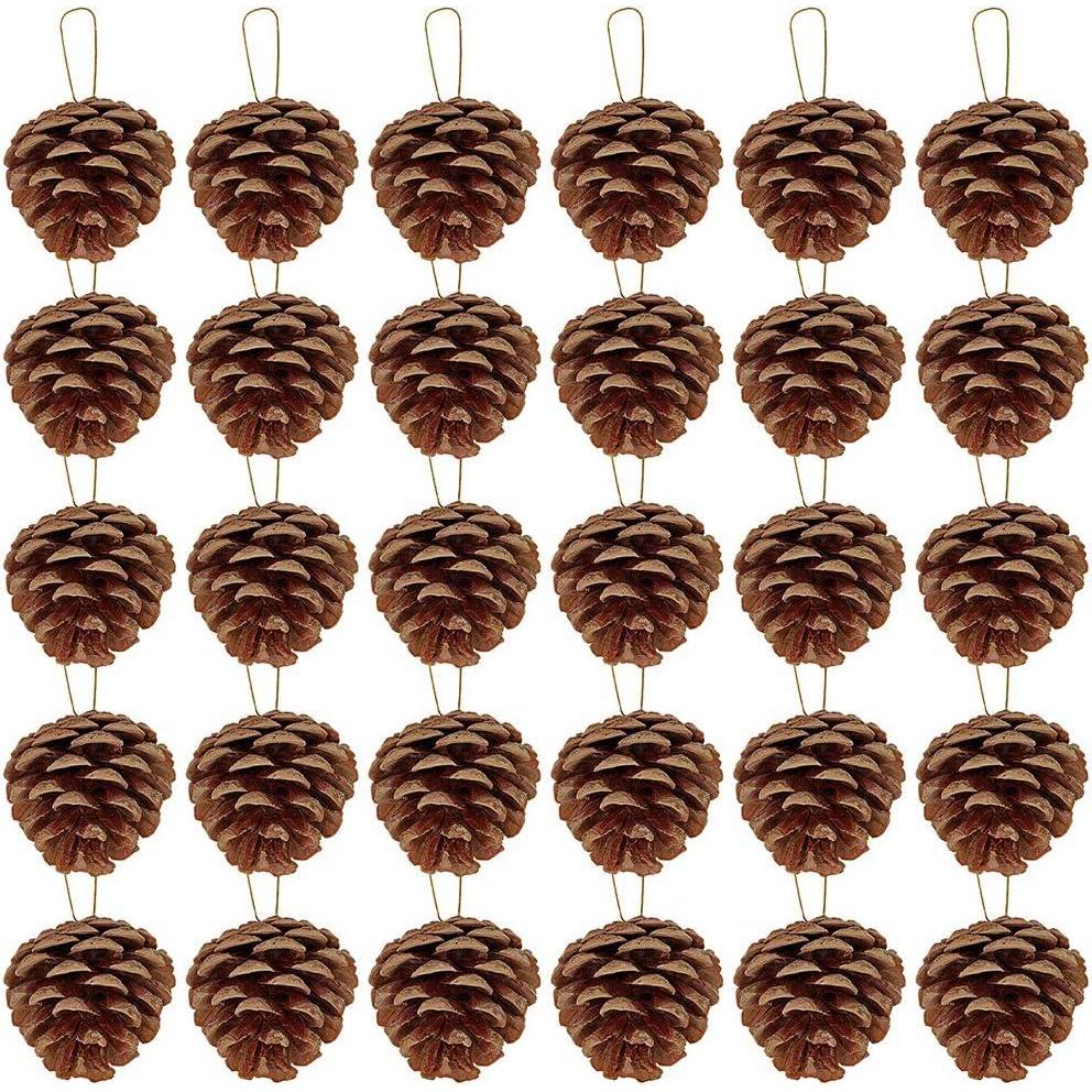 imageSupla 30 Pcs Christmas Hanging Real Preserved Pine Cones Ornaments 2quot3quot Tall Christmas Tree Hanging Pinecone Ornaments