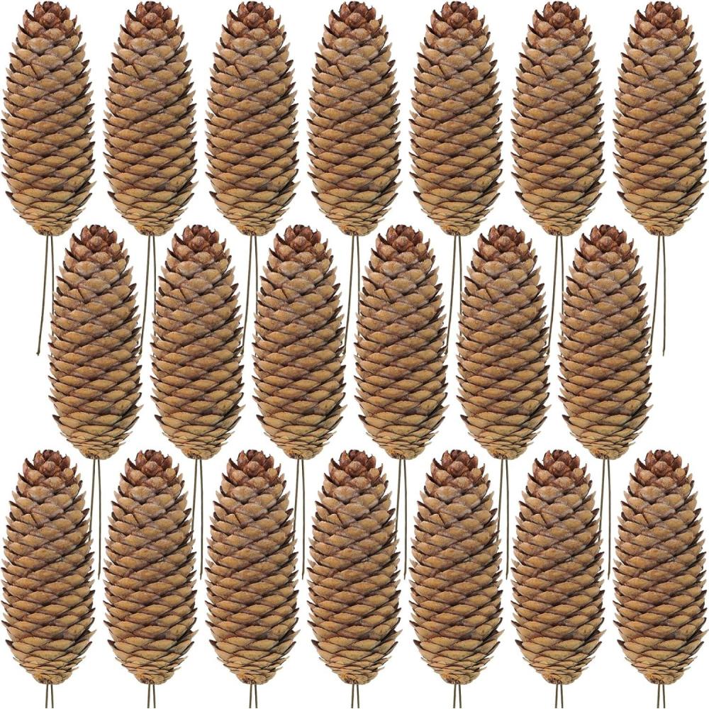 imageWinlyn 20 Pcs Christmas Natural Pine Cone Picks Rustic Spruce Pine Cones 59quot Christmas Tree Decorations Hanging Pinecones for Christmas Tree Wreath Garland Holiday Party Table Centerpiece CraftsNatural