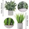 2 Pack Small Potted Eucalyptus Plant Artificial Grass in Pot Assorted Mini Houseplants Greenery for Indoor Kitchen Dining Room Office Apartment Tabletop Decorations Wedding Centerpiece 8.9″ Tall