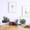2 Pack Small Potted Eucalyptus Plant Artificial Grass in Pot Assorted Mini Houseplants Greenery for Indoor Kitchen Dining Room Office Apartment Tabletop Decorations Wedding Centerpiece 8.9″ Tall