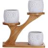 3pcs Owl Succulent Pots with 3 Tier Bamboo Saucers Stand Holder – White Modern Decorative Ceramic Flower Planter with Drainage – Home Office Desk Garden Mini Cactus Plant Pot Indoor Decoration