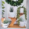 3pcs Owl Succulent Pots with 3 Tier Bamboo Saucers Stand Holder – White Modern Decorative Ceramic Flower Planter with Drainage – Home Office Desk Garden Mini Cactus Plant Pot Indoor Decoration