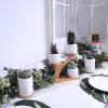 3pcs Owl Succulent Pots with 3 Tier Bamboo Saucers Stand Holder – White Modern Decorative Ceramic Flower Planter with Drainage – Home Office Desk Garden Mini Cactus Plant Pot Indoor Decoration