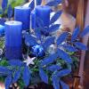 40 Pieces Gold Glittered Artificial Leaf Spray Picks 12″ Tall for Christmas Winter Wedding Wreath Tree Swag Floral Arrangment Vase Bouquets Table Centerpieces Decoration(Blue)