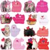48 Sets Valentine’s Day Cards Scratch & Sniff Strawberry Scented Valentine Cards Cat Kitten Pet Love Cards with Envelopes and Heart Stickers Tattoo for Kids Party Favor School Classroom Gift Exchange