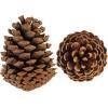 BESTTOYHOME 15 PCS Natural Pinecones Medium Pine Cones Ornaments Real Preserved Pine Cones – Dried -3″ – 4″ Tall for Guest Seating Place Card Holders or Wedding Guest Favors Christmas Winter Xmas