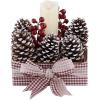 Supla 10 PCS Natural Pinecones Medium Frosted Pine Cones Ornaments Real Preserved Pine Cones – Dried -3″- 4″ Tall for Home Decor Christmas Winter Xmas