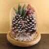 Supla 10 PCS Natural Pinecones Medium Frosted Pine Cones Ornaments Real Preserved Pine Cones – Dried -3″- 4″ Tall for Home Decor Christmas Winter Xmas