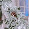 Winlyn 12 Pcs Christmas Artificial Pine Branches White Glittered Pine Needles with Pinecone and Berries Christmas Floral Picks 14.2″ for White Christmas Tree Wreath Swag Holiday Winter Wedding Bouquet(Silver)