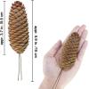 Winlyn 20 Pcs Christmas Natural Pine Cone Picks Rustic Spruce Pine Cones 5.9″ Christmas Tree Decorations Hanging Pinecones for Christmas Tree Wreath Garland Holiday Party Table Centerpiece Crafts(Natural)