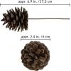 Winlyn 20 Pcs Natural Pine Cone Picks Christmas Pinecone Sprays Pinecones Ornaments with Wired Stems 6.9″ Tall for Rustic Christmas Tree Party Floral Arrangements Wreath Crafts Holiday Décor(Natural)