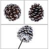 Winlyn 20 Pcs Natural Pine Cone Picks Christmas Pinecone Sprays Pinecones Ornaments with Wired Stems 6.9″ Tall for Rustic Christmas Tree Party Floral Arrangements Wreath Crafts Holiday Décor(Frosted)