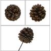 Winlyn 20 Pcs Natural Pine Cone Picks Christmas Pinecone Sprays Pinecones Ornaments with Wired Stems 6.9″ Tall for Rustic Christmas Tree Party Floral Arrangements Wreath Crafts Holiday Décor(Natural)
