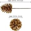 Winlyn 20 Pcs Natural Pine Cone Picks Christmas Pinecone Sprays Pinecones Ornaments with Wired Stems 6.9″ Tall for Rustic Christmas Tree Party Floral Arrangements Wreath Crafts Holiday Décor(Gold)
