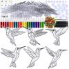 Winlyn 24 Sets Hummingbird Suncatcher Decorations DIY Window Paint Art Craft Kits Rainbow Bird Painting Kit for Kids Classroom Activities Birthday Spring Summer Camping Party Art Project