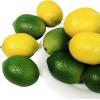 Winlyn 28 Pcs Fake Lemon Artificial Fruits Vivid Green and Yellow Lemon Mixed Set Lifelike Simulation Fruit for Home House Kitchen Party Decoration