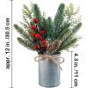 Winlyn 3 Pack Christmas Artificial Potted Plants Christmas Greenery Red Berry and Snowy Pinecone in Small Rustic Galvanized Metal Pot Farmhouse Centerpiece for Holiday Winter Home Tiered Tray Tabletop