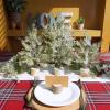 Winlyn 3 Pack Mini Artificial Cedar Trees with Pinecones and Wood Bases Small Tabletop Christmas Trees for Winter Rustic Farmhouse Christmas Holiday Seasonal Indoor Table Centerpiece Desk Decoration