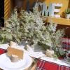 Winlyn 3 Pack Mini Artificial Cedar Trees with Pinecones and Wood Bases Small Tabletop Christmas Trees for Winter Rustic Farmhouse Christmas Holiday Seasonal Indoor Table Centerpiece Desk Decoration