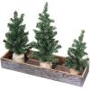 Winlyn 3 Pack Mini Canadian Pine Trees with Wood Bases Artificial Miniature Christmas Trees and Rustic Planter for Holiday Season Tabletop Decoration Centerpiece Displays
