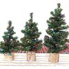 Winlyn 3 Pack Mini Canadian Pine Trees with Wood Bases Artificial Miniature Christmas Trees for Holiday Season Tabletop Decoration Centerpiece Displays Xmas Green Assorted Sizes 7.5″ 8.9″ 10.8″