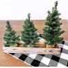 Winlyn 3 Pack Mini Canadian Pine Trees with Wood Bases Artificial Miniature Christmas Trees for Holiday Season Tabletop Decoration Centerpiece Displays Xmas Green Assorted Sizes 7.5″ 8.9″ 10.8″