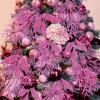 Winlyn 30 Pcs Christmas Artificial Leaf Sprays Cedar Picks Silver Glittered Christmas Tree Ornaments Winter Floral Stems for Sliver Christmas Tree Wreaths Centerpieces Holiday Wedding Decoration(Pink)
