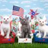 Winlyn Bulk Patriotic Party Favors Toy Jewelry Assortments American USA Flag Beaded Necklaces Tattoo Sunglasses Pinwheels Red White Blue for 4th of July Memorial Day Kids Classroom Rewards Prizes