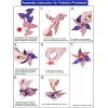 Winlyn Bulk Patriotic Party Favors Toy Jewelry Assortments American USA Flag Beaded Necklaces Tattoo Sunglasses Pinwheels Red White Blue for 4th of July Memorial Day Kids Classroom Rewards Prizes