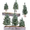 Winlyn Set of 3 Mini Snowy Artificial Canadian Pine Christmas Trees with Wood Bases Small Tabletop Christmas Trees in Rustic Wood Planter for Christmas Winter Table Centerpiece Holiday Decorations