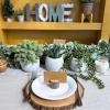 Winlyn Set of 3 Small Faux Potted Succulent Plants Artificial Trailing String of Pearls Aloe Hops Plant in Gray Ceramic Pots Desk Plant for Home Office Kitchen Bathroom Shelf Table Decorations