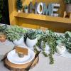 Winlyn Set of 3 Small Faux Potted Succulent Plants Artificial Trailing String of Pearls Aloe Hops Plant in Gray Ceramic Pots Desk Plant for Home Office Kitchen Bathroom Shelf Table Decorations